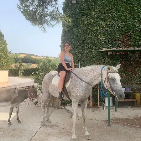 Zenit Ξενοδοχείο